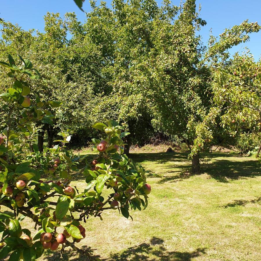 Gite De La Founauderie Roncey Exterior foto